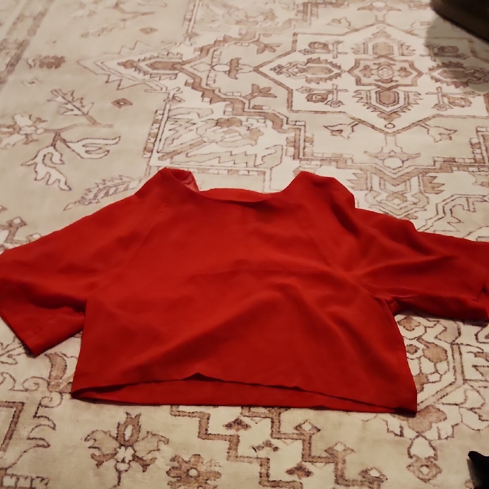 Sheer Red Blousy Cropped Top
